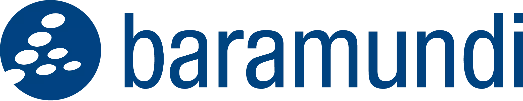 Baramundi | audius Asset Manager